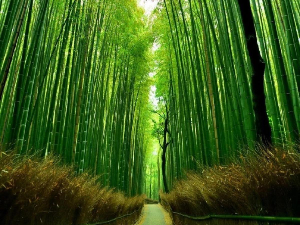 Kamo River J~House Kyoto Exterior photo